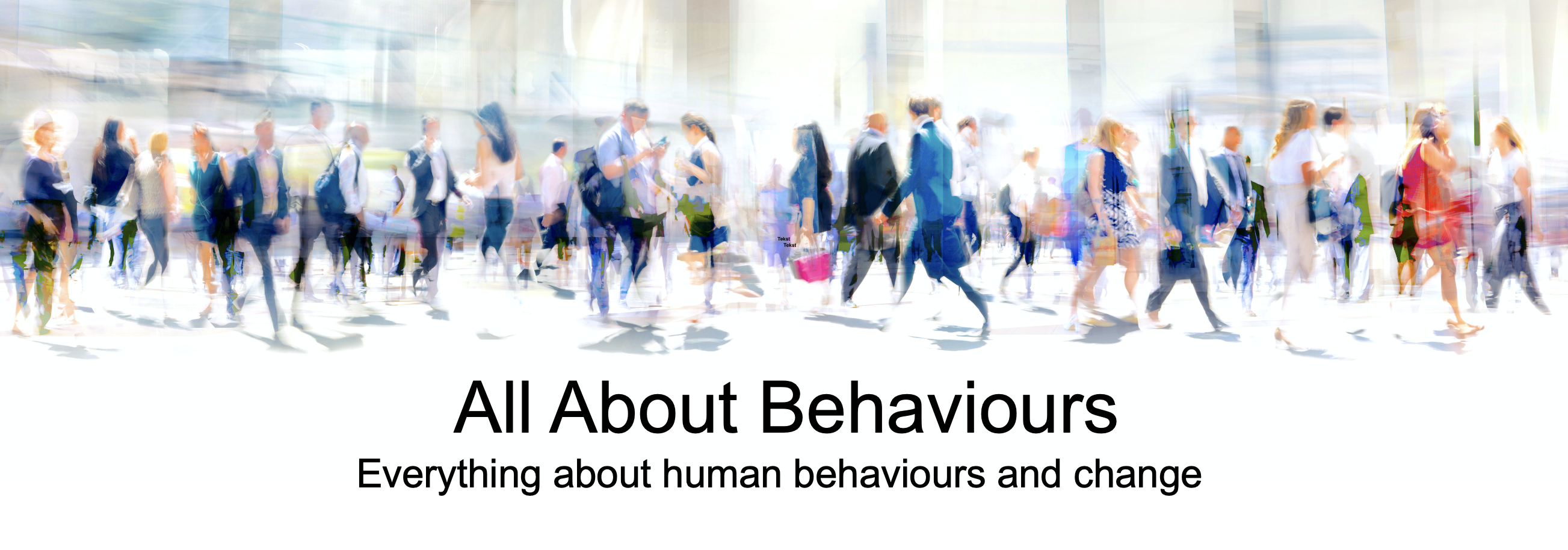 All About Behaviours